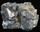 Lustrous Galena Specimen - Borieva Mine, Bulgaria #41752-1